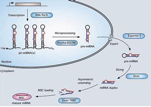 首页| PP电子游戏中国区官方网站