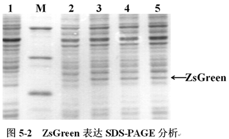 首页| PP电子游戏中国区官方网站