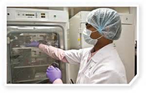 新药研发简介：新瓶装旧酒，浅谈肿瘤动物模型的变迁