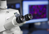 改委监控三类药价，成本价调查将启动