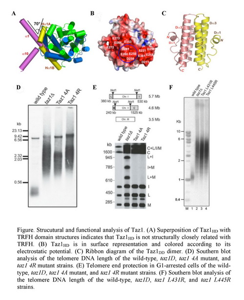 首页| PP电子游戏中国区官方网站