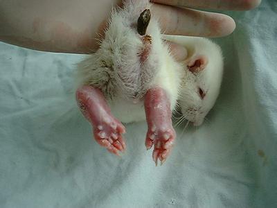 首页| PP电子游戏中国区官方网站