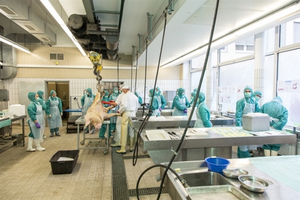 英国生物技术行业10年市场全描述