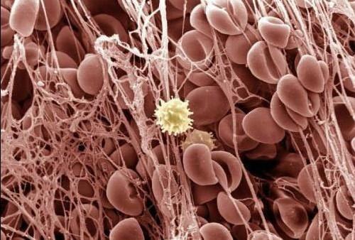 首页| PP电子游戏中国区官方网站