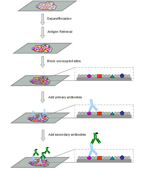 首页| PP电子游戏中国区官方网站