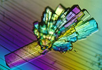 首页| PP电子游戏中国区官方网站