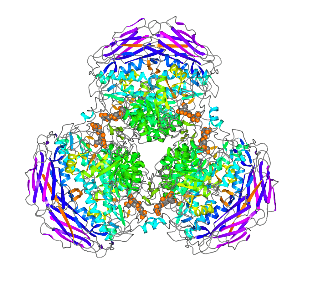 蛋白表白服务介绍