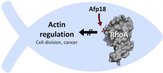 首页| PP电子游戏中国区官方网站