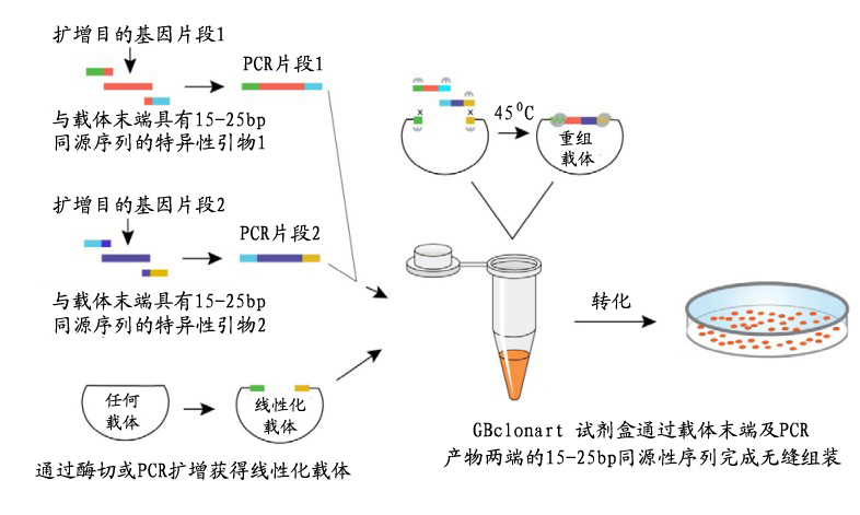 首页| PP电子游戏中国区官方网站