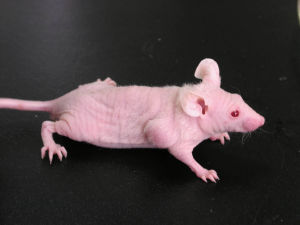 首页| PP电子游戏中国区官方网站