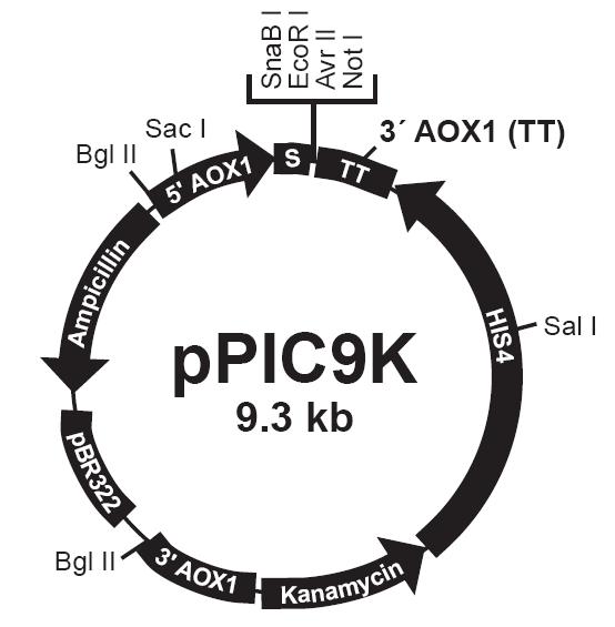 首页| PP电子游戏中国区官方网站