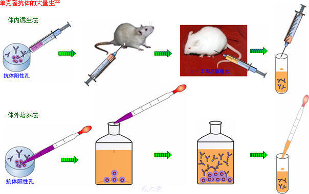 首页| PP电子游戏中国区官方网站