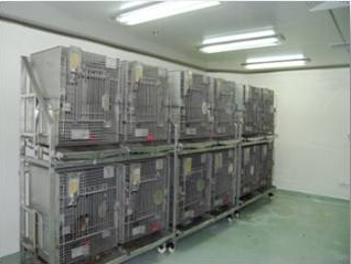 PP电子游戏猴房