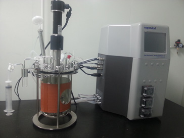 抗体蛋白表白纯化仪器