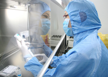 BE试验：若何提升试验成功率