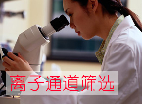 PP电子游戏离子通路筛选服务