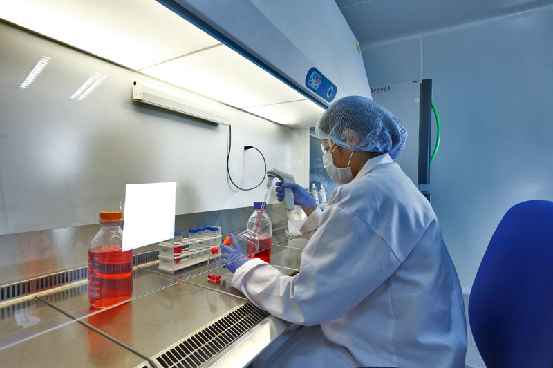 2015年药品特殊审评数据分析：哪些新药搭上了快车？