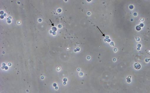 首页| PP电子游戏中国区官方网站