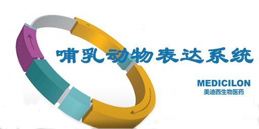 哺乳动物细胞表白系统特点、优势及钻研近况