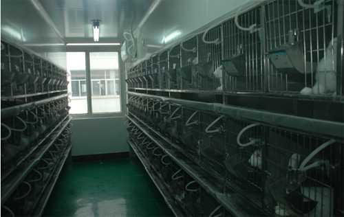 PP电子游戏尝试动物房