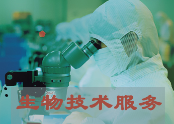 PP电子游戏生物尝试技术服务表包