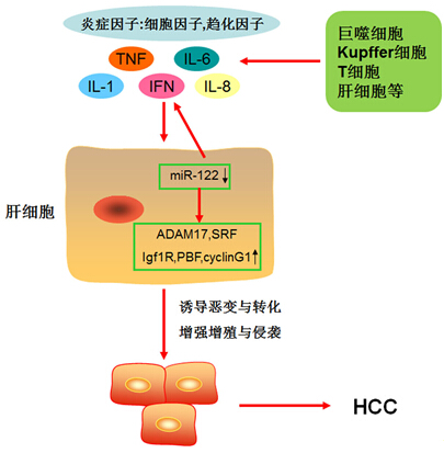 首页| PP电子游戏中国区官方网站
