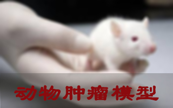 PP电子游戏肿瘤模型成立服务