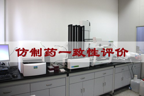 仿造药一致性评价
