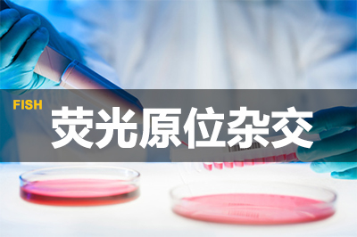 PP电子游戏荧光原位杂交技术