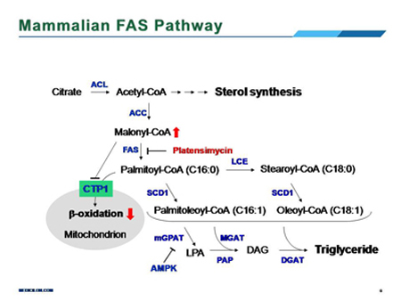 首页| PP电子游戏中国区官方网站