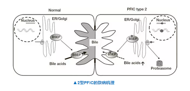 首页| PP电子游戏中国区官方网站