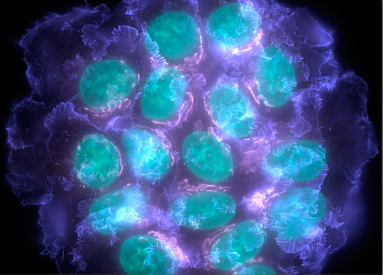 首页| PP电子游戏中国区官方网站