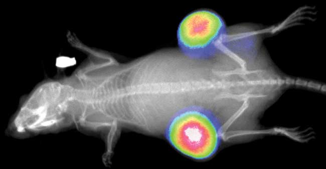 首页| PP电子游戏中国区官方网站