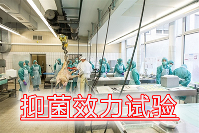 PP电子游戏抑菌效力试验用度