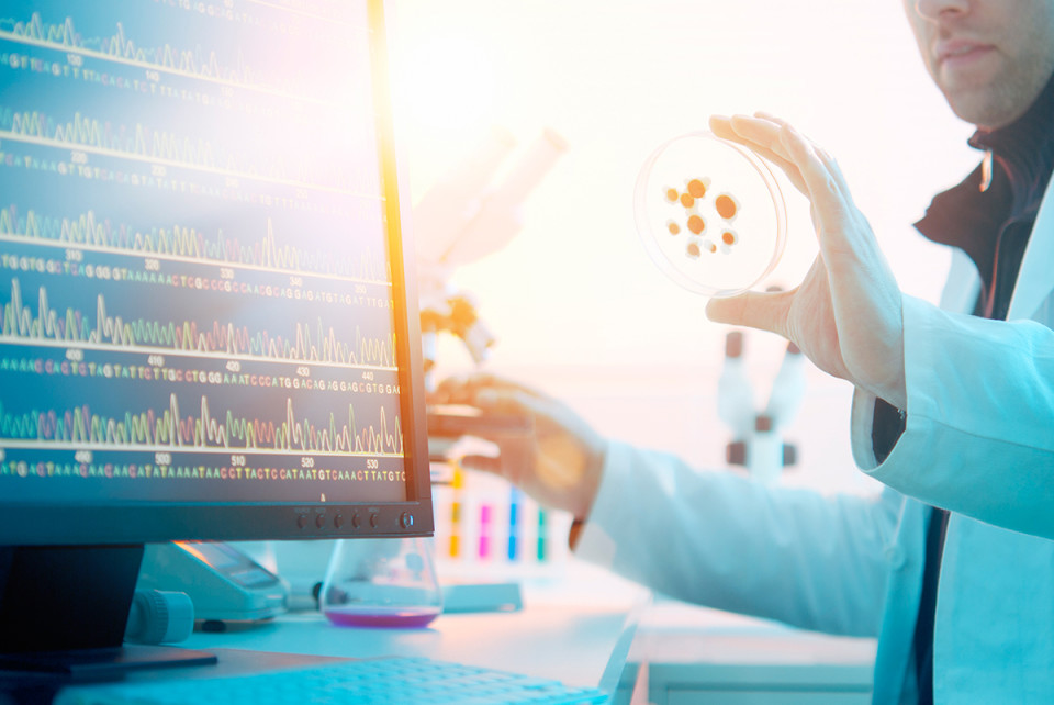 PD-1/IDO组合注册试验起头，首个幼分子IO药物进入三期临床