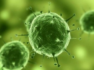 首页| PP电子游戏中国区官方网站