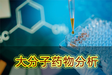 PP电子游戏大分子药物分析服务