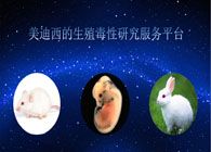 PP电子游戏的生殖毒性钻研服务平台