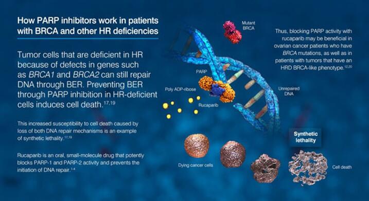 首页| PP电子游戏中国区官方网站