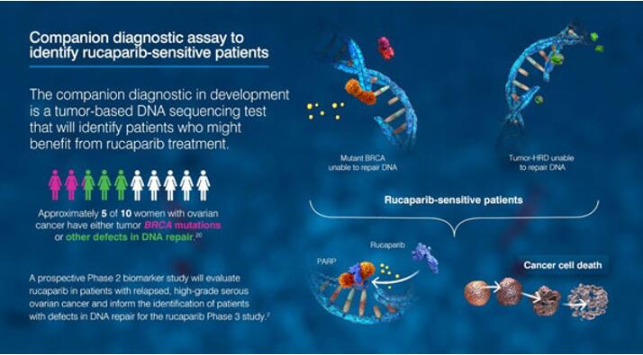 首页| PP电子游戏中国区官方网站