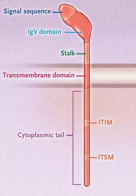 首页| PP电子游戏中国区官方网站