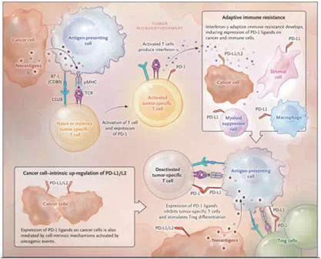 首页| PP电子游戏中国区官方网站