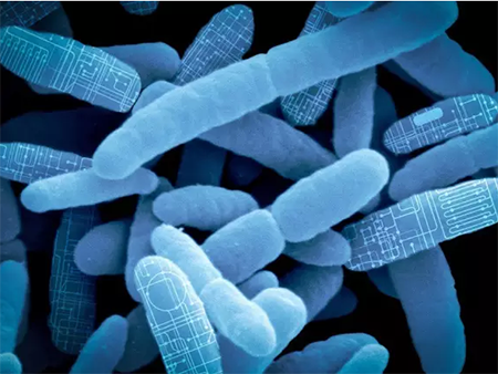 首页| PP电子游戏中国区官方网站