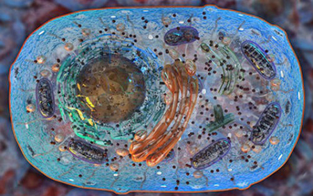 首页| PP电子游戏中国区官方网站