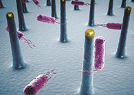 将来的药丸里，可能有一万亿幼我工刷新的细菌？