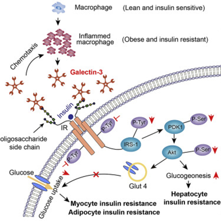 首页| PP电子游戏中国区官方网站