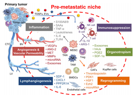 首页| PP电子游戏中国区官方网站