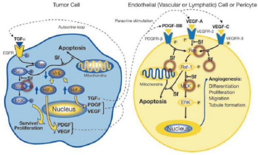 多靶点药物：创新药物设计的沉要思路