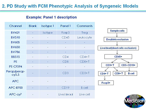 PP电子游戏副总裁汪俊博士SAPA-DC会议演讲PPT