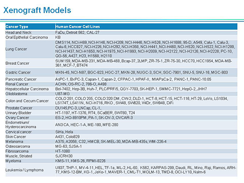 PP电子游戏副总裁汪俊博士SAPA-DC会议演讲PPT
